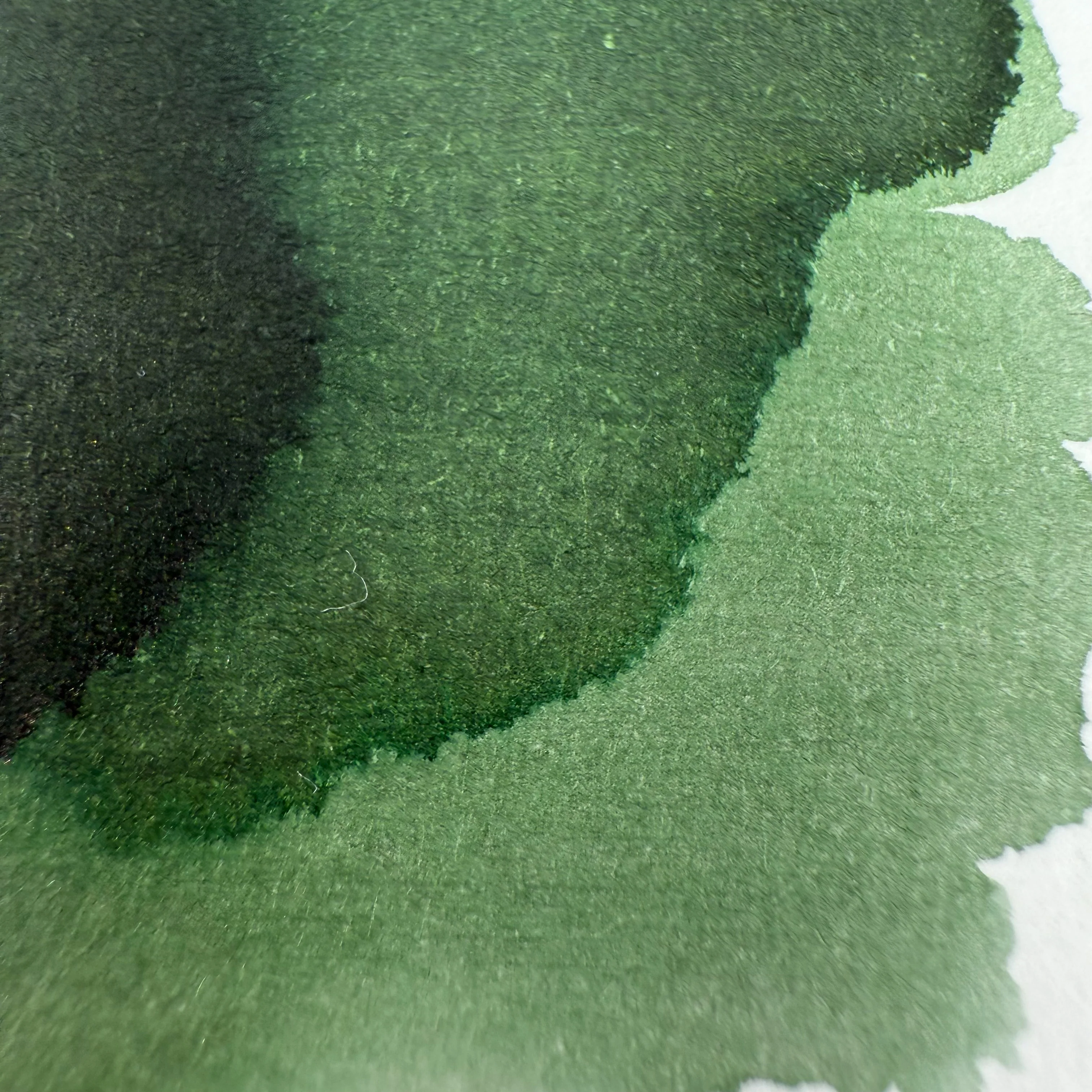 Colorverse 15ml Korea Special Bottled Ink - Boxwood - Image 2