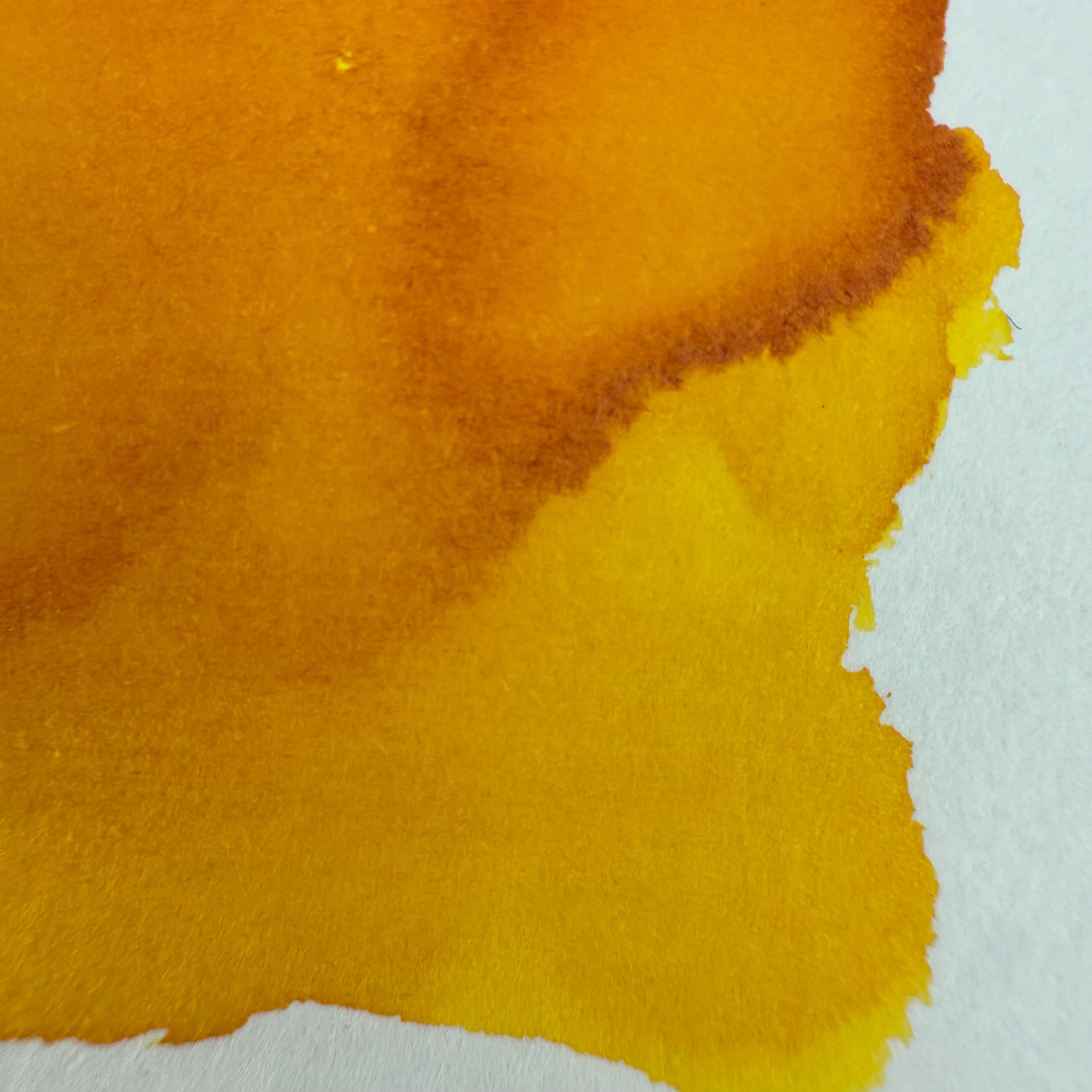 Colorverse 15ml Korea Special Bottled Ink - Forsythia - Image 2
