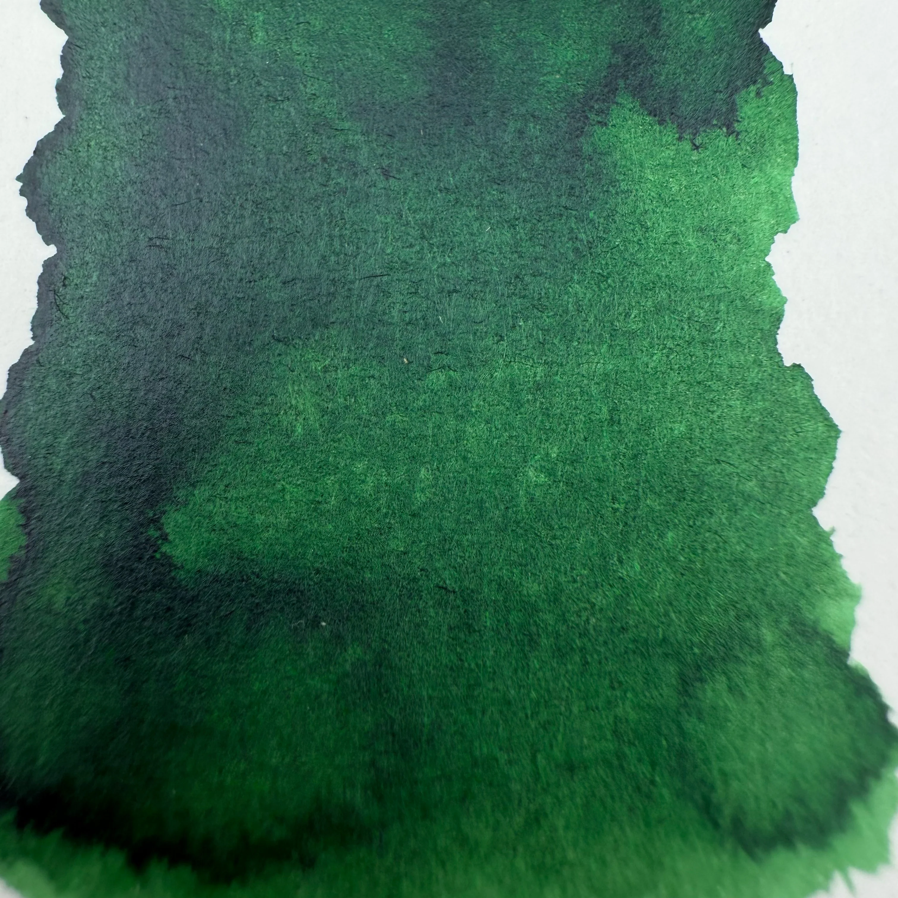 Diamine Forever Ink Amazonia - 50ml Bottled Ink - Image 2