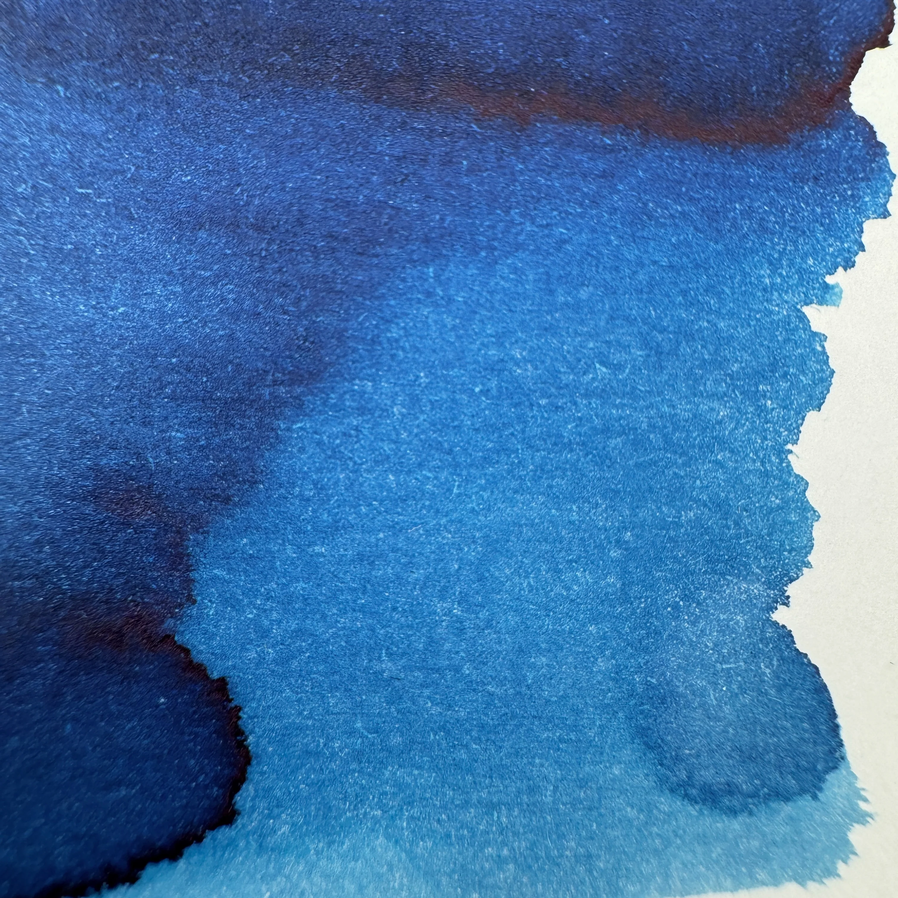 Dominant Industry Blue Rose - 25ml Bottled Ink - Image 2