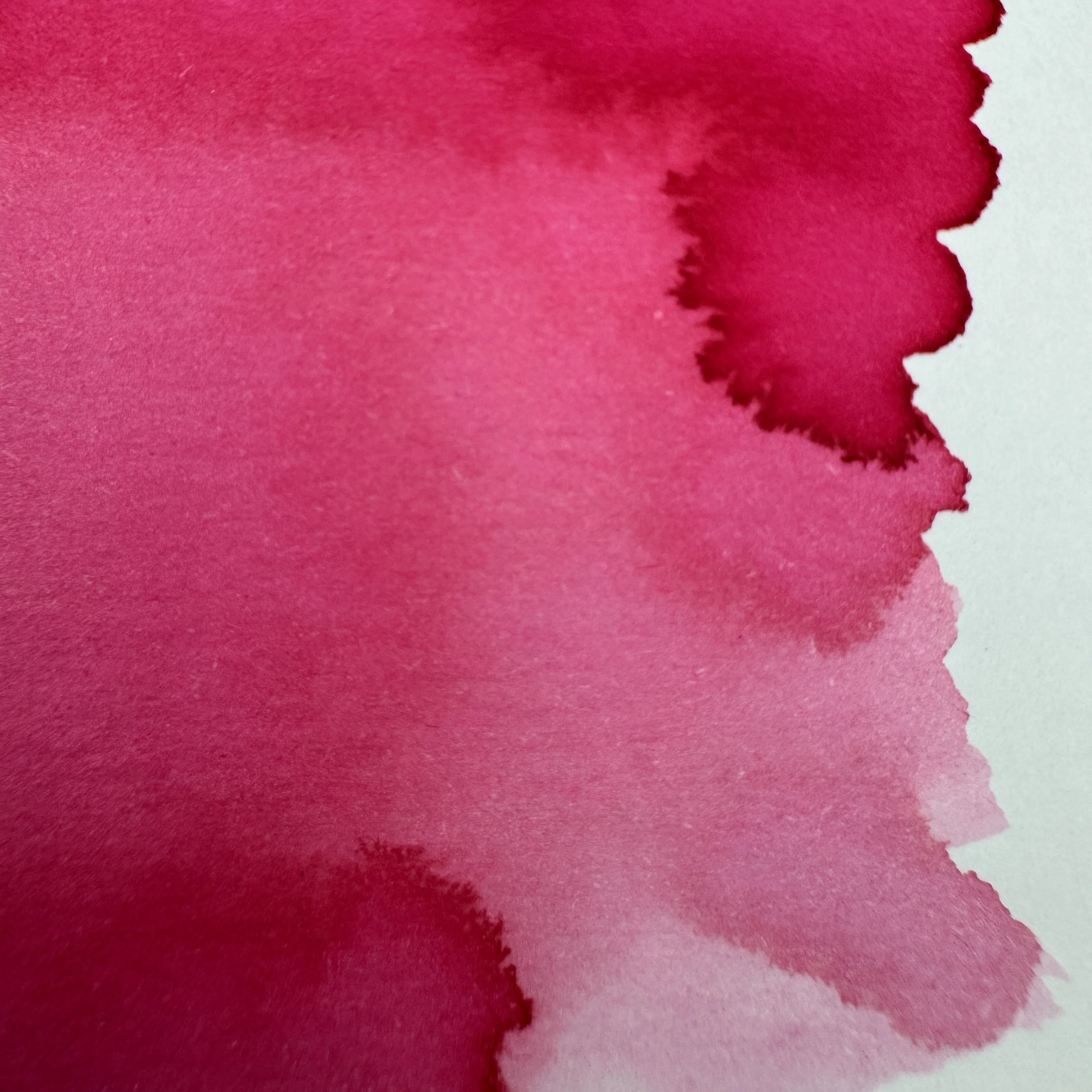 Dominant Industry Pink Robin - 25ml Bottled Ink - Image 2