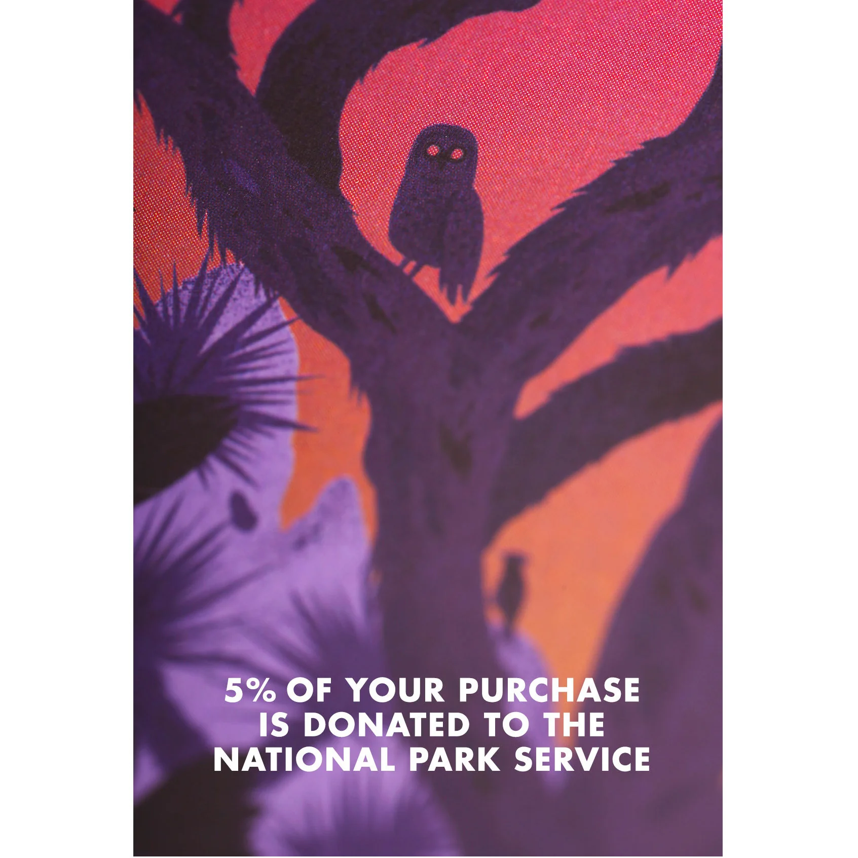 Field Notes National Parks Series A - Image 5