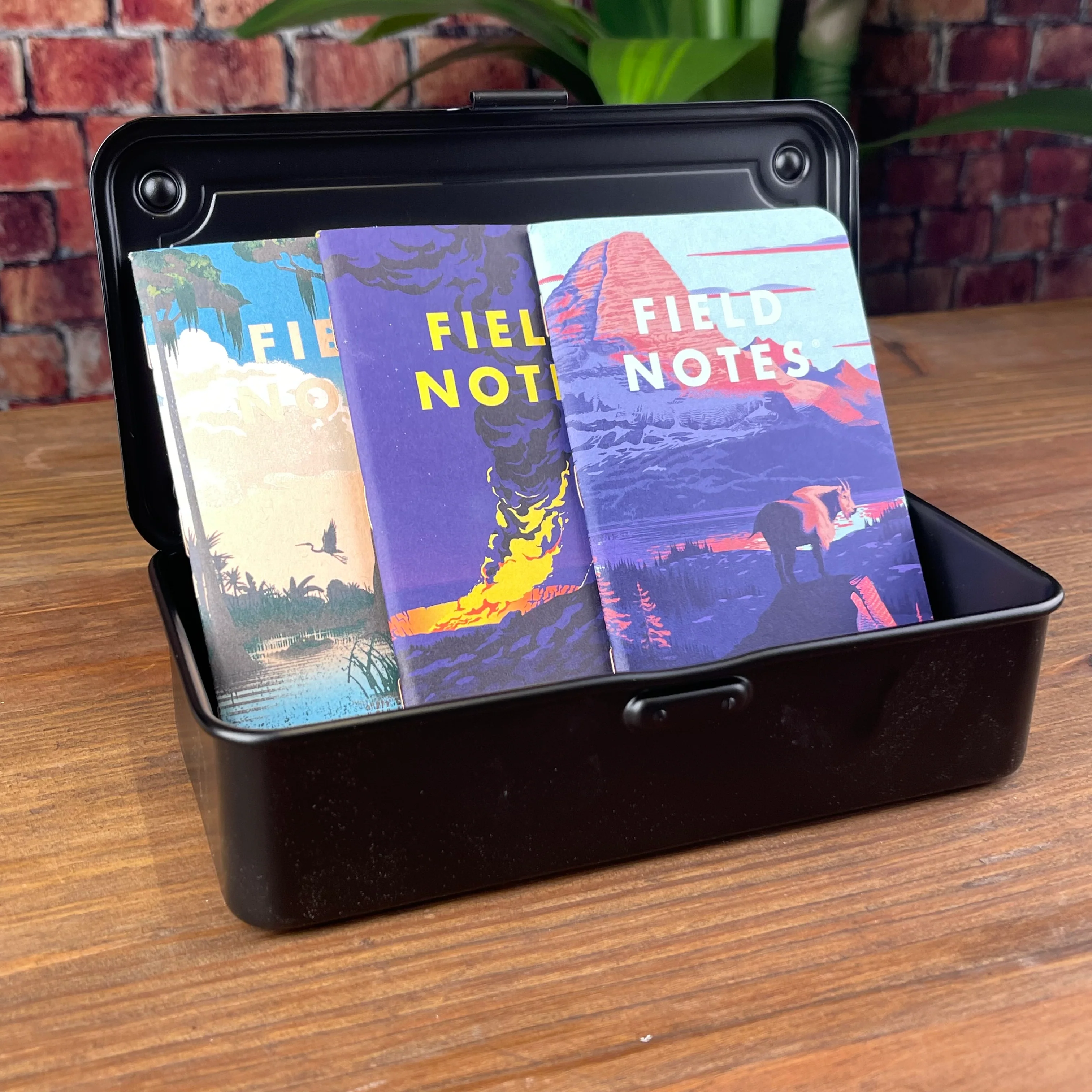 Field Notes National Parks Series F - Image 2