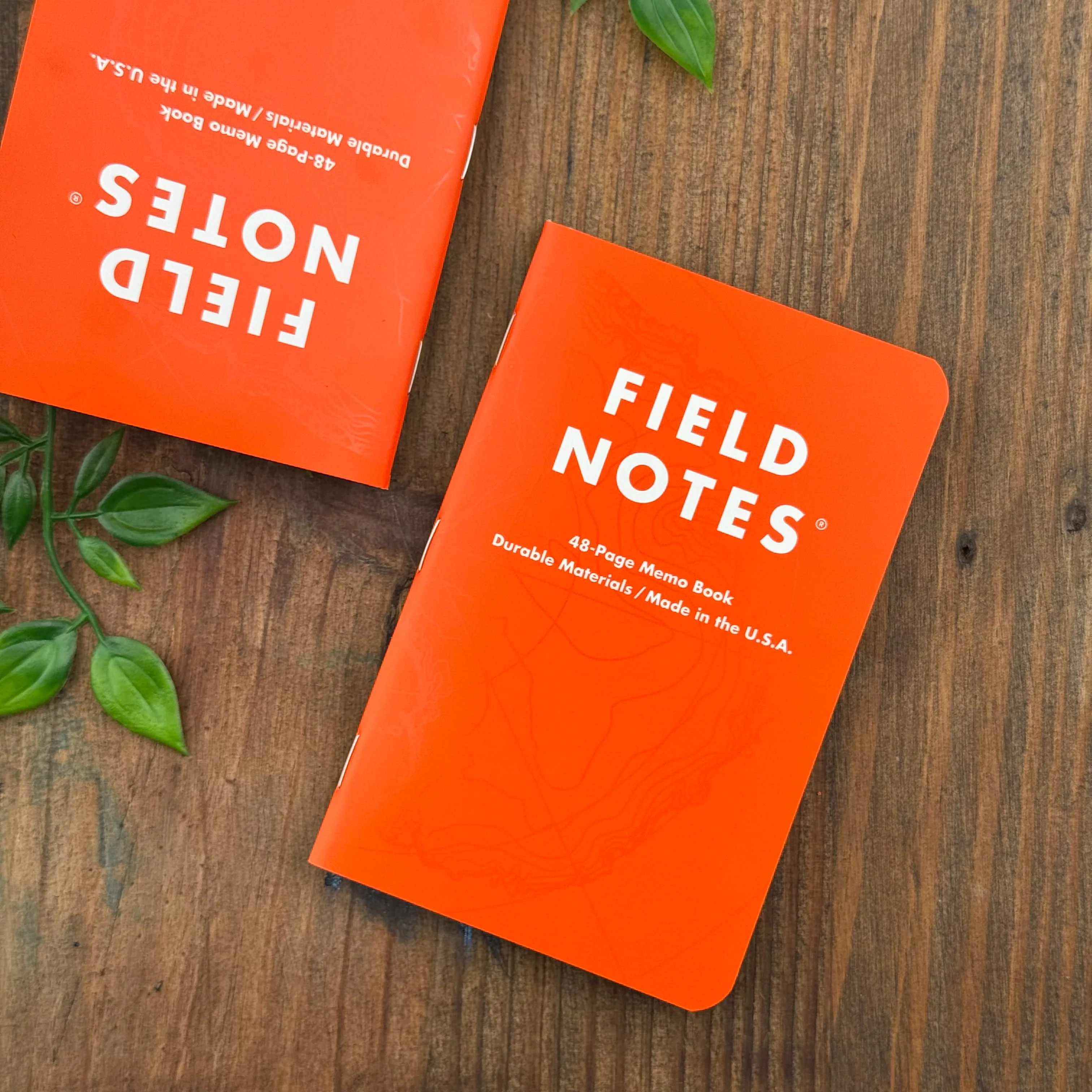 Field Notes - Expedition - Image 2