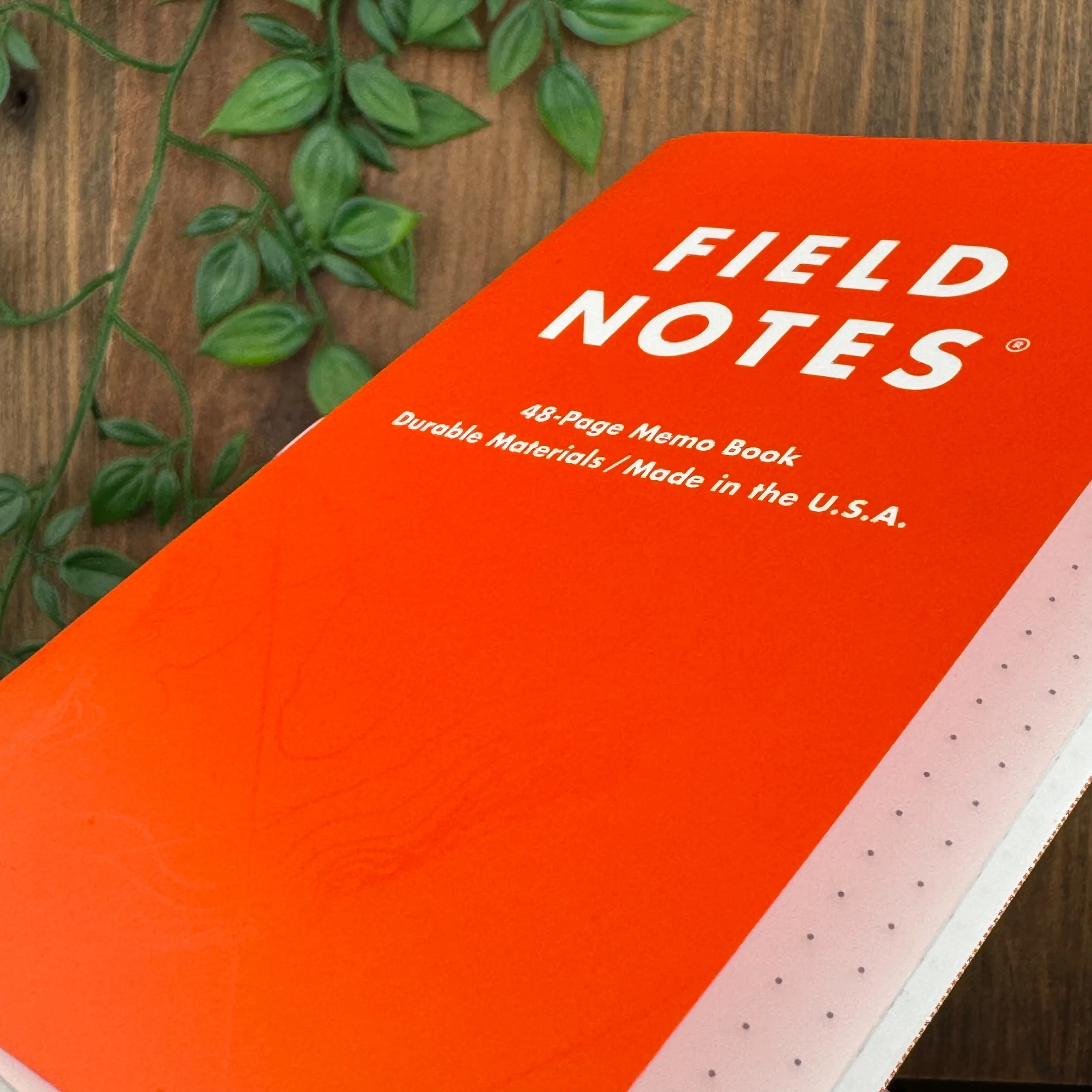 Field Notes - Expedition - Image 3