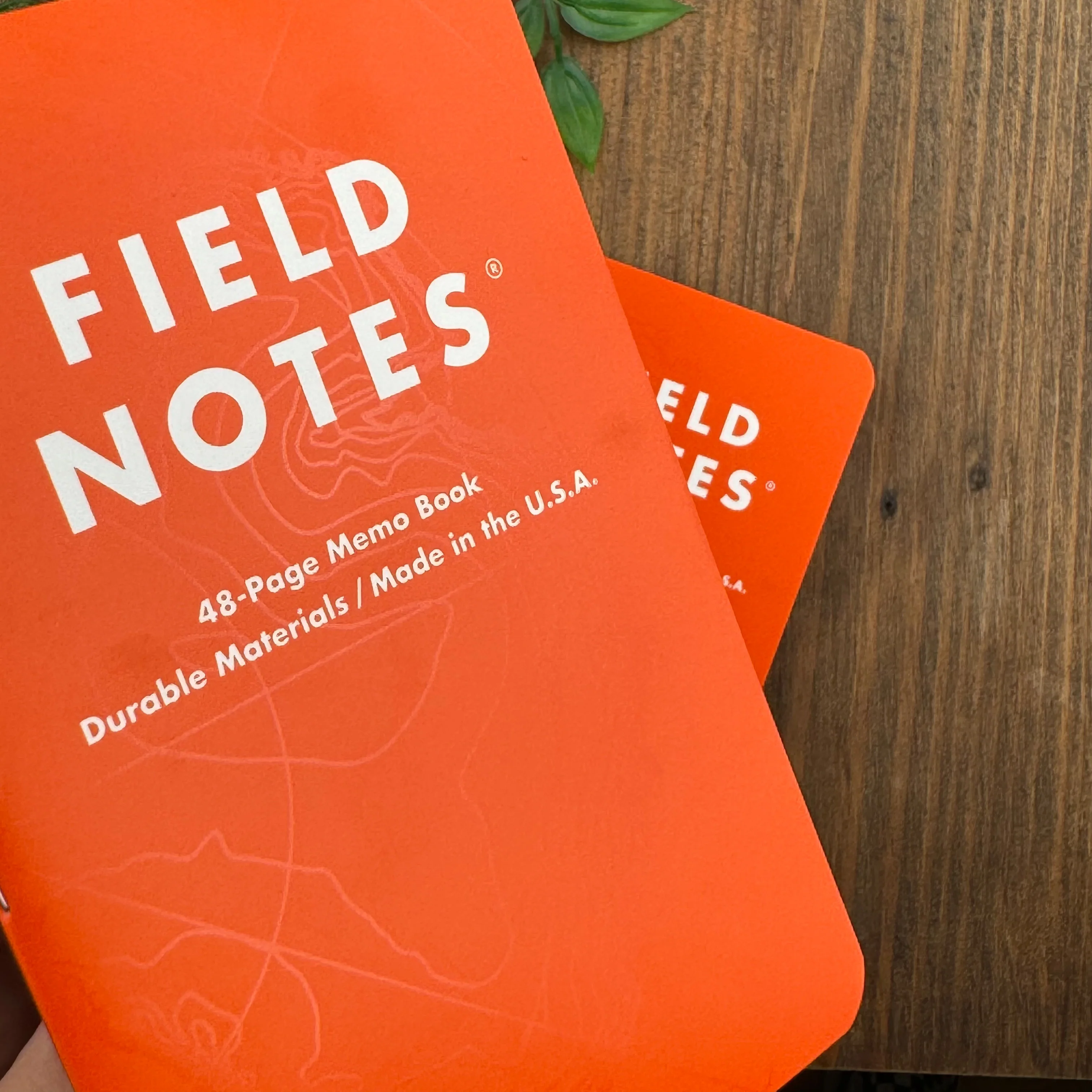 Field Notes - Expedition - Image 4