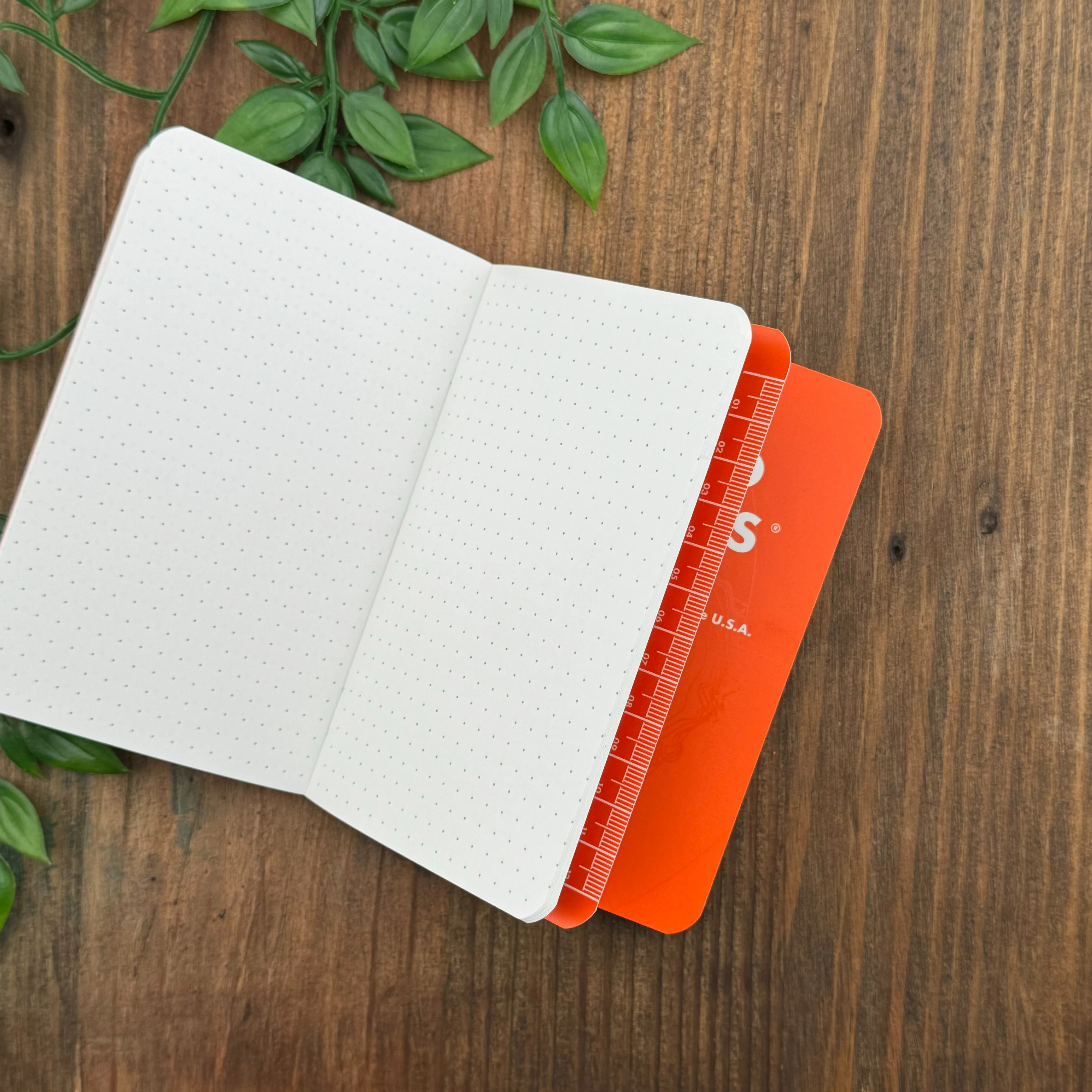 Field Notes - Expedition - Image 5