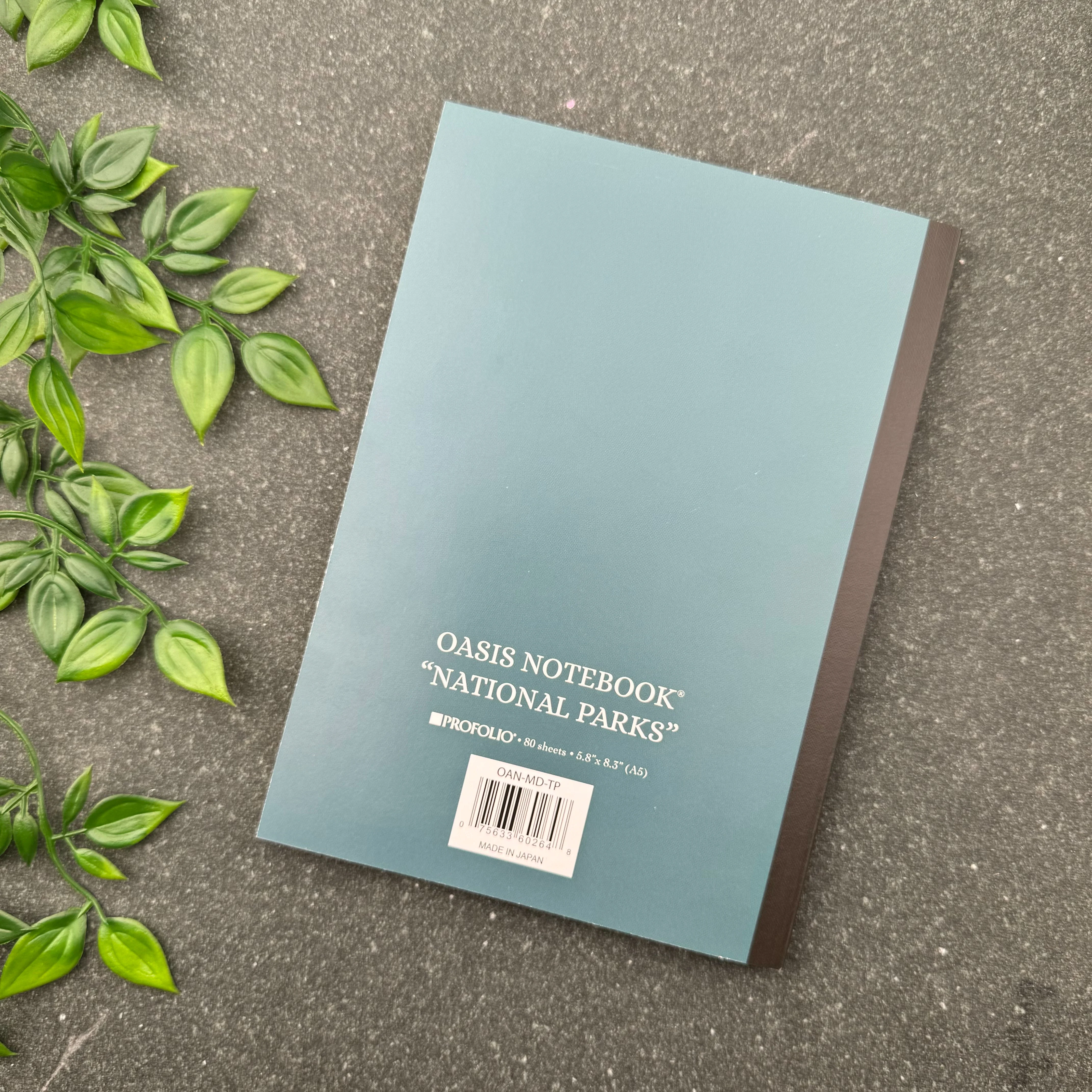 Itoya Oasis A5 National Parks Notebook - Image 15