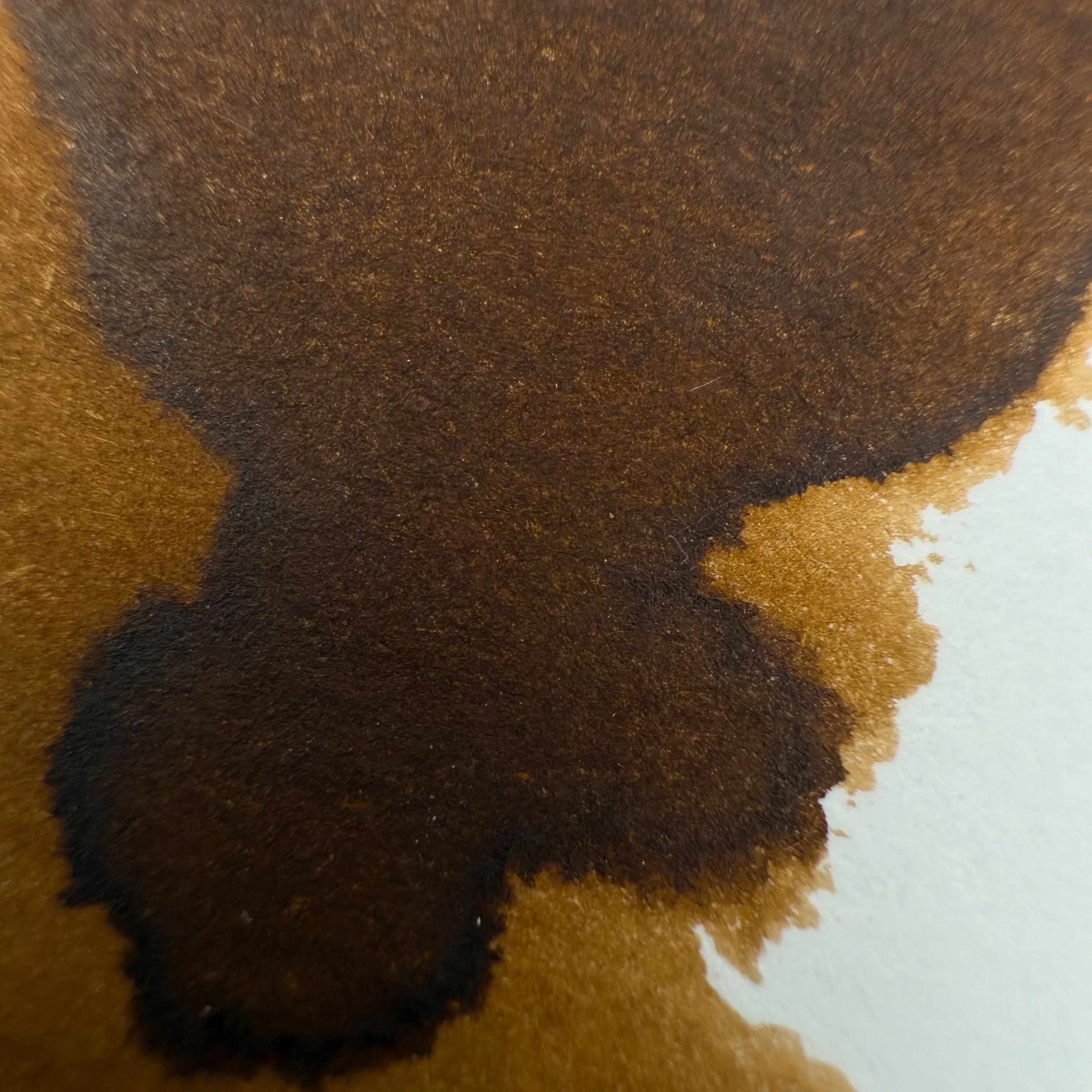 KWZ Cappuccino - 60ml Bottled Inks - Image 2