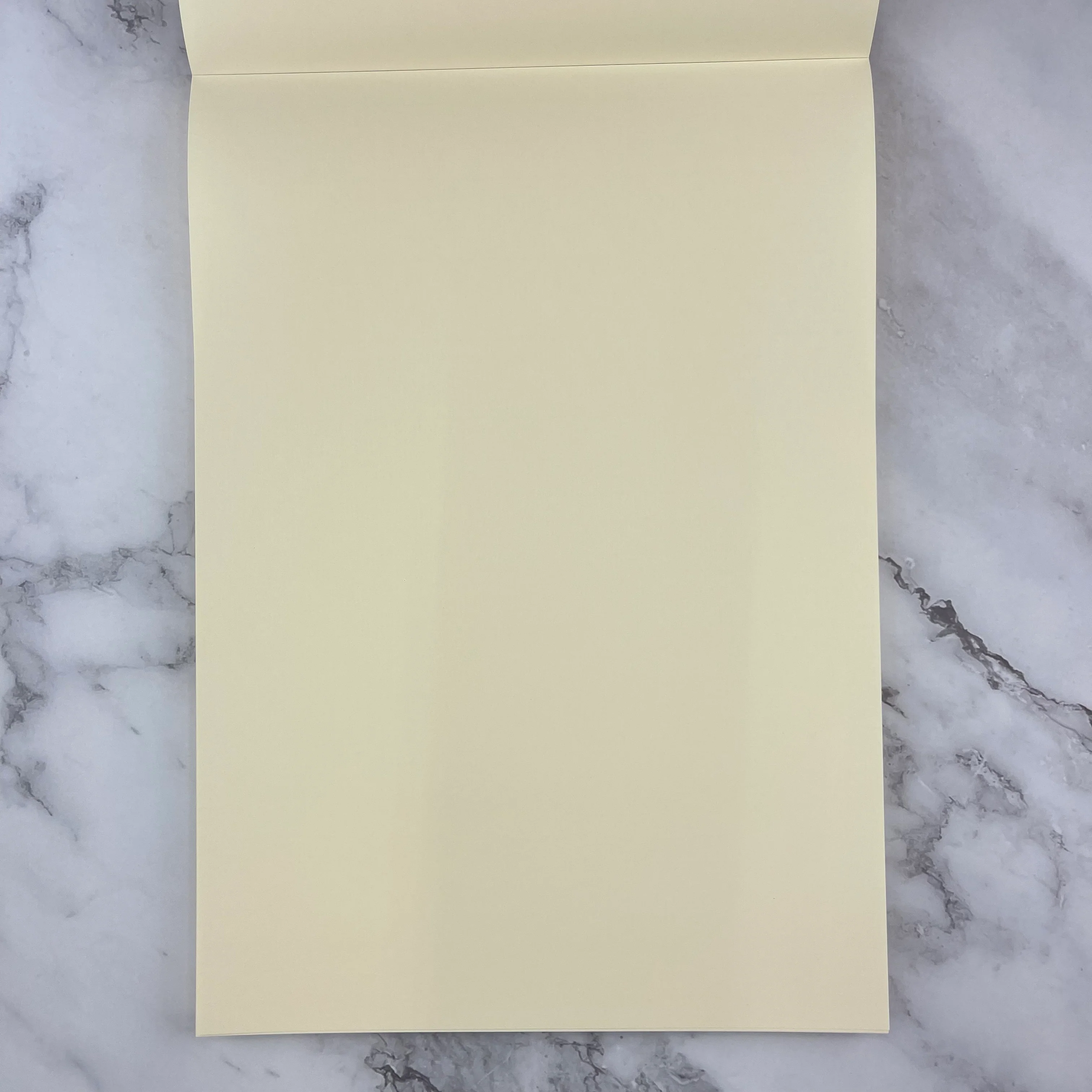 Life Noble Notebook - Brown - Blank - A4 Top-Bound - Image 2