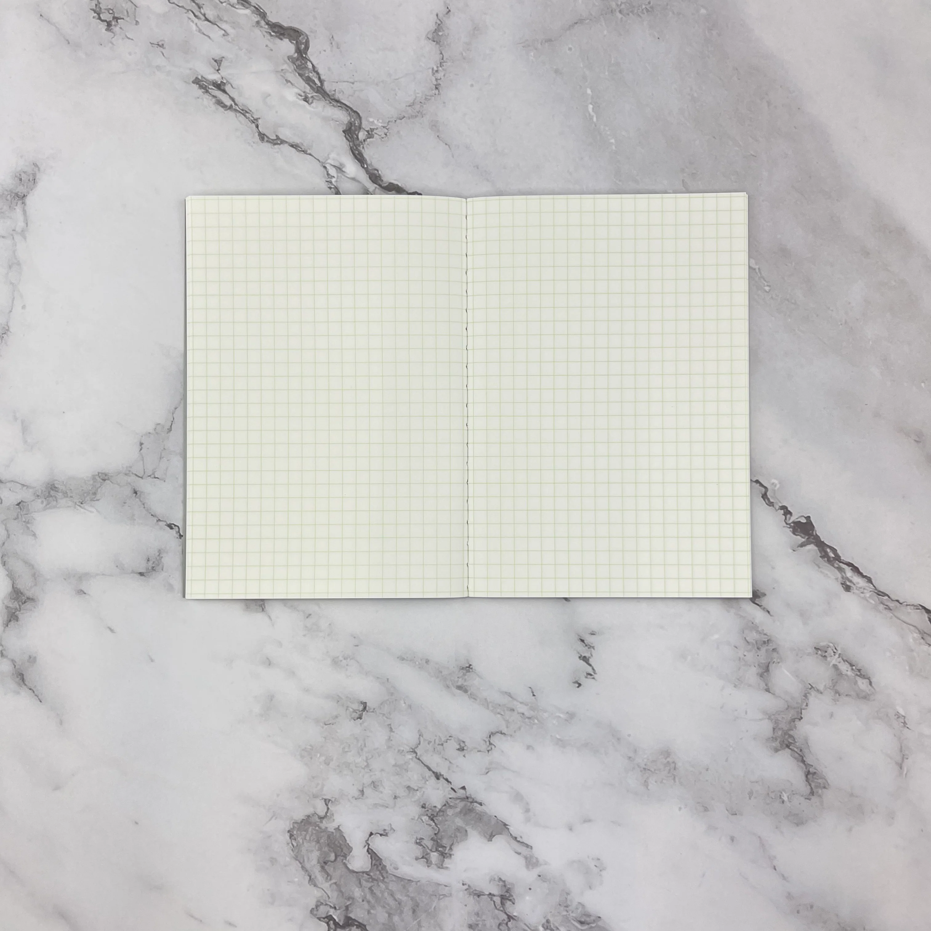 Life Pistachio Notebook - A6 - Grid - Image 2