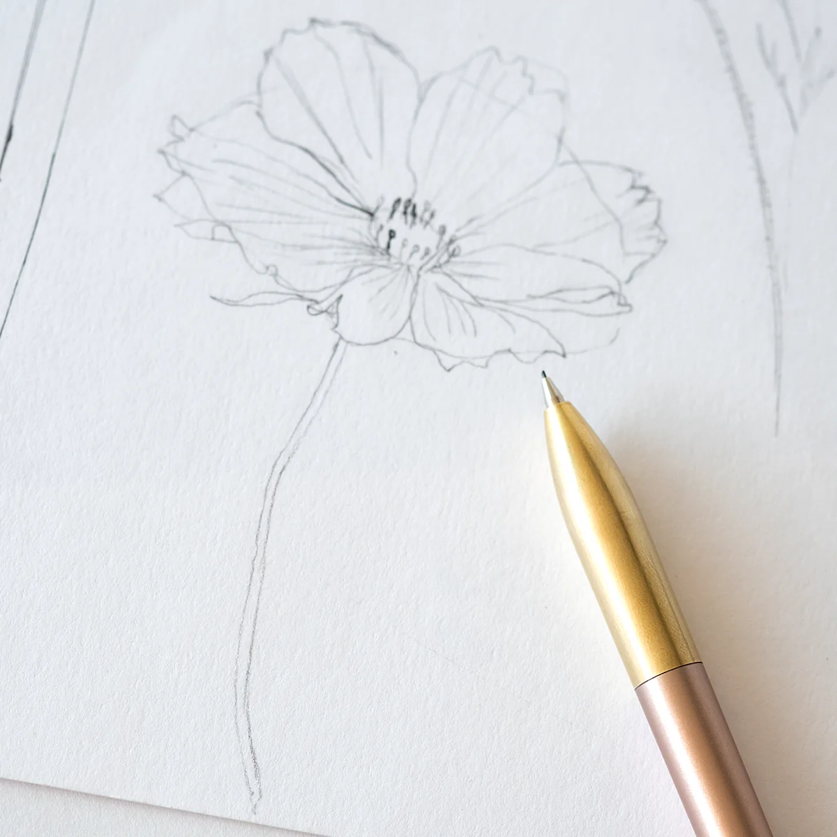 Tom's Studio Mechanical Pencil - Image 19