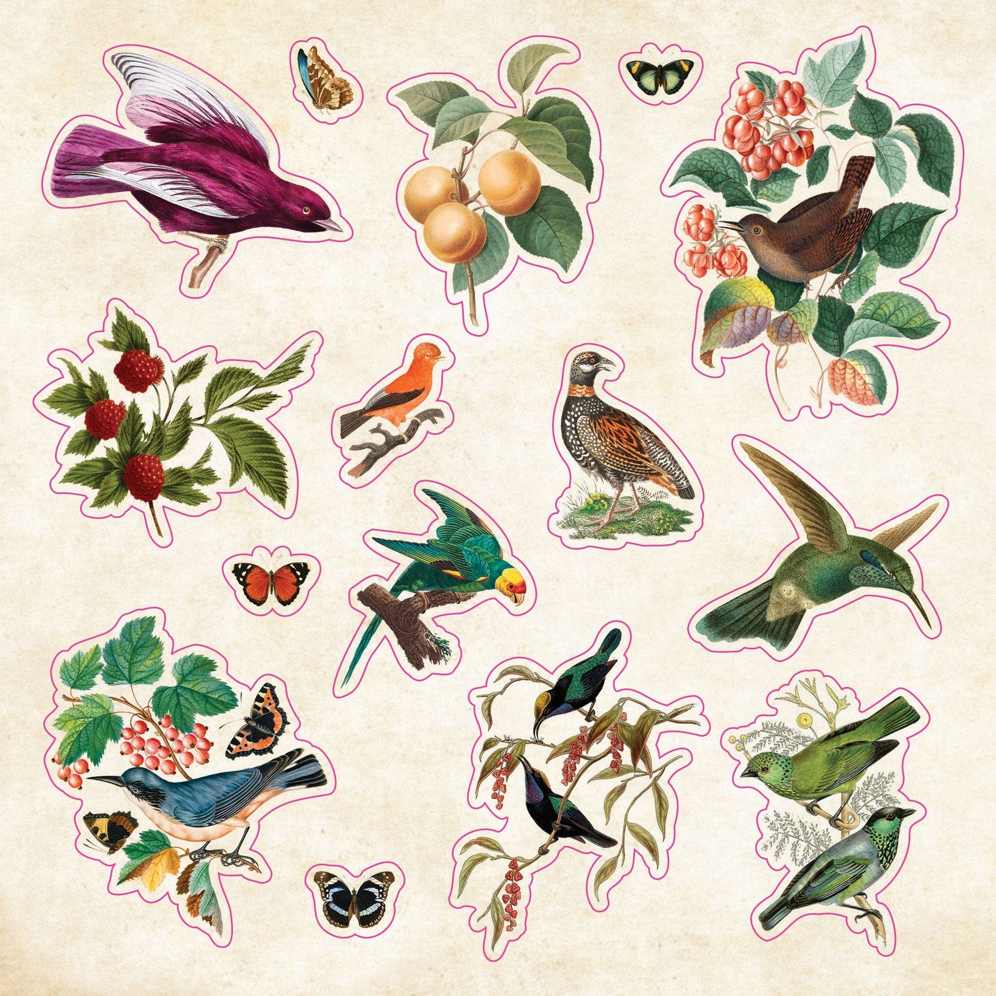 The Sticker Book of Curiosities - Image 4