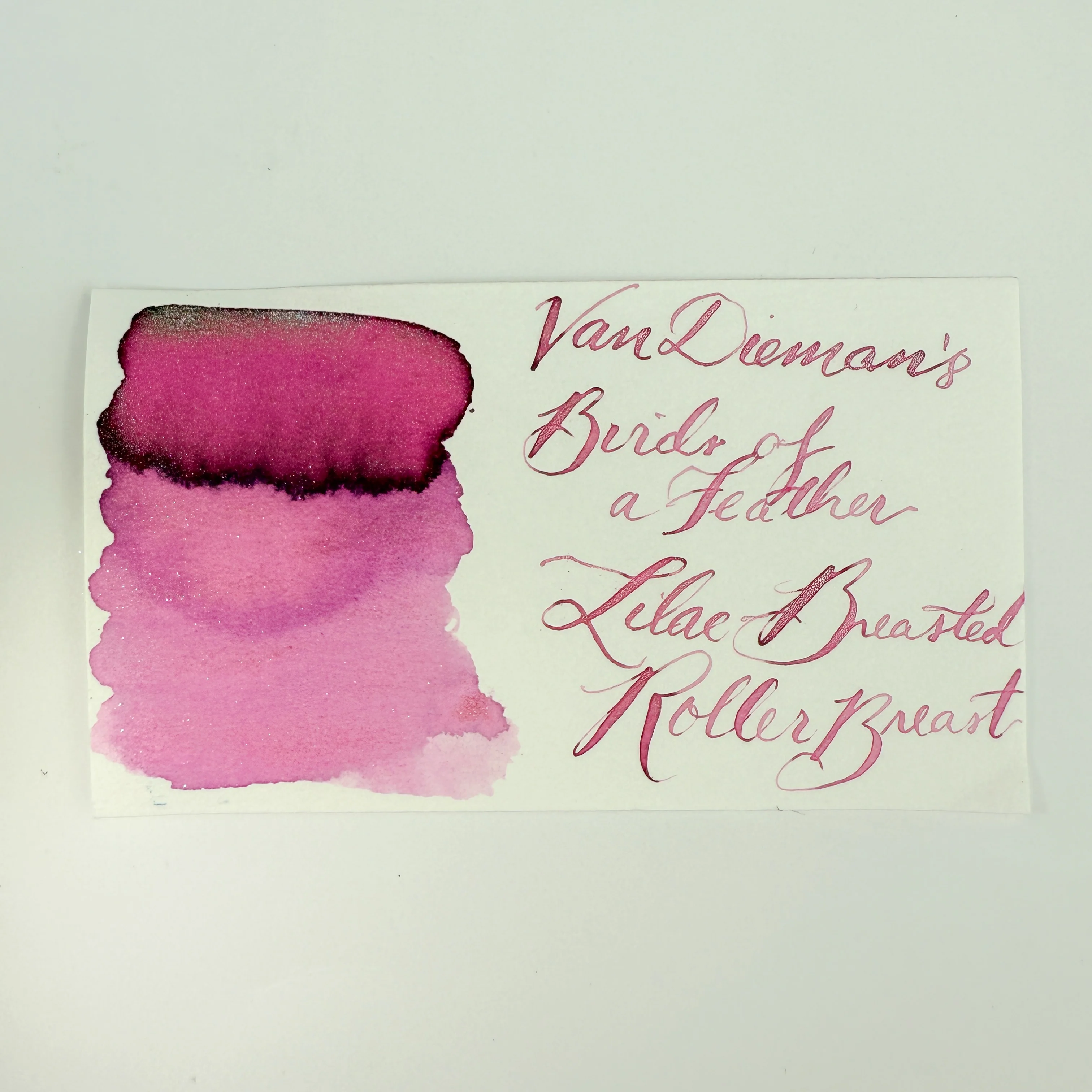 Van Dieman's Birds of a Feather - Lilac-Breasted Roller Breast - 30ml Bottled Ink - Image 2
